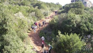  We go up the path 